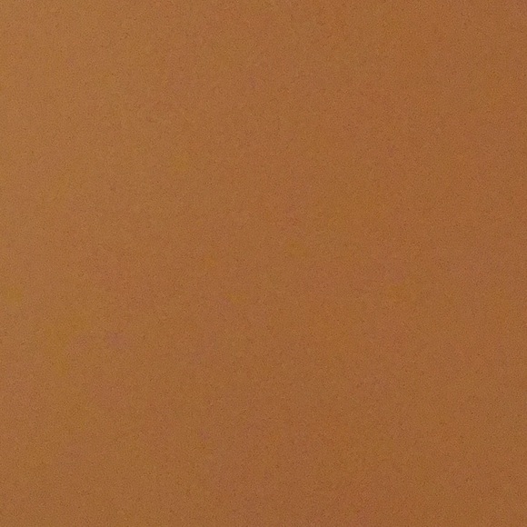 Meet your Posher, Sloan - Picture 1 of 1